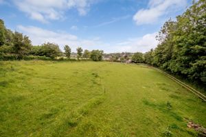 Field 18- click for photo gallery